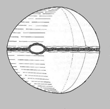 Torpedo Sphere